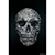 David Hollier, Bill Hicks Skull