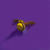 Craig Cully, Brass Clasp purple