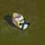 Craig Cully, Doll Shoe