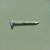 Craig Cully, Galvinzed Nail