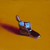 Craig Cully, Monopoly Shoe ochre