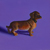 Craig Cully, Plastic Dog purple