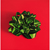Craig Cully, Green Bow (Red Ground) (sold)