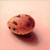Craig Cully, Quail Egg