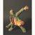 Peter Gourfain, Stone Thrower