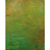Vivian Wolovitz, Edge 2