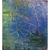 Vivian Wolovitz, Schema